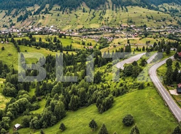 Teren de vânzare Sadova - 206381TV | BLITZ Suceava | Poza2