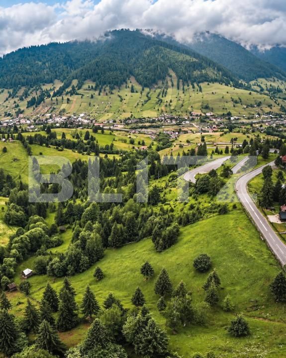 Teren de vânzare Sadova - 206381TV | BLITZ Suceava | Poza2