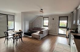 Apartament 3 camere de inchiriat, 100 mp, Radauti