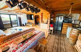 Casa din busteni, 4ari teren,  Plopeni, Suceava