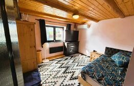 Casa din busteni, 4ari teren,  Plopeni, Suceava