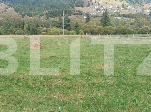 Teren de vânzare Vatra Dornei - 206566TV | BLITZ Suceava | Poza2