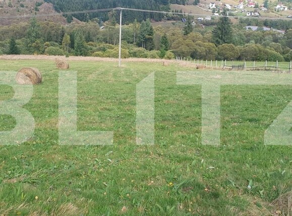 Teren de vânzare Vatra Dornei - 206566TV | BLITZ Suceava | Poza1