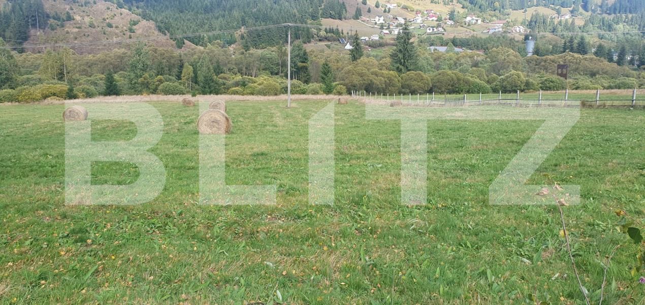 Teren de vânzare Vatra Dornei - 206566TV | BLITZ Suceava | Poza2