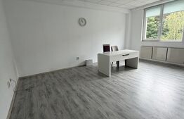 Spatiu birou, 33,3 mp, zona LIDL Obcini