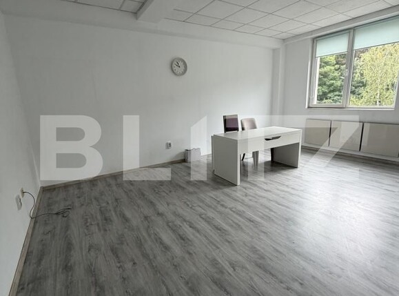 Spațiu comercial de închiriat Periferie - 206768SIC | BLITZ Suceava | Poza1