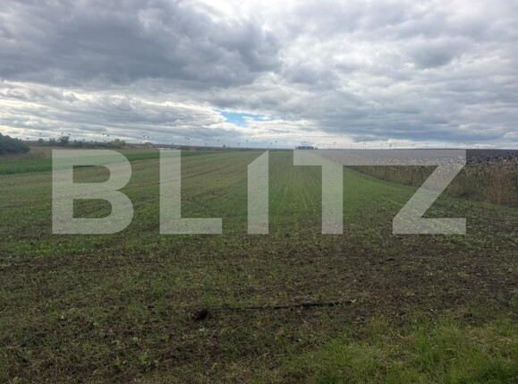 Teren de vânzare Periferie - 206838TV | BLITZ Suceava | Poza1