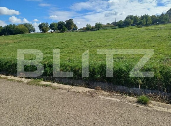 Teren de vânzare Zvoristea - 206884TV | BLITZ Suceava | Poza1