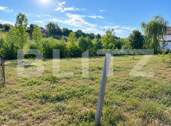 Teren de vânzare Periferie - 207025TV | BLITZ Suceava | Poza1