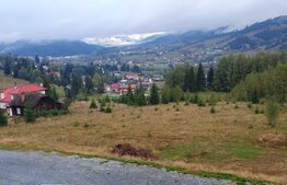 Cabana din bustean masiv si o suprafata de teren de 9000 mp in Vatra Dornei