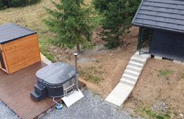 Cabana din bustean masiv si o suprafata de teren de 9000 mp in Vatra Dornei