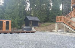 Cabana din bustean masiv si o suprafata de teren de 9000 mp in Vatra Dornei