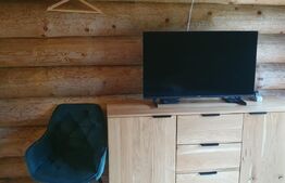 Cabana din bustean masiv si o suprafata de teren de 9000 mp in Vatra Dornei