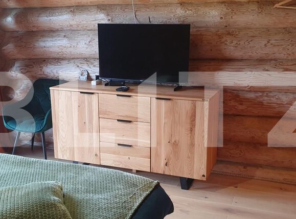 Spațiu comercial de vânzare Vatra Dornei - 207045SVC | BLITZ Suceava | Poza19