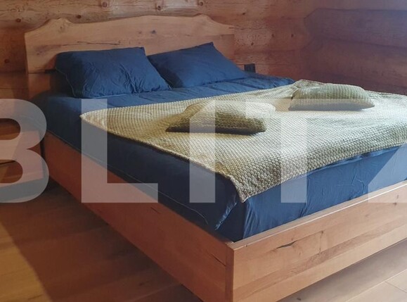 Spațiu comercial de vânzare Vatra Dornei - 207045SVC | BLITZ Suceava | Poza17