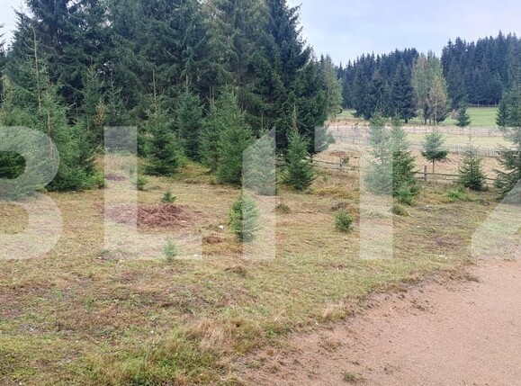 Spațiu comercial de vânzare Vatra Dornei - 207045SVC | BLITZ Suceava | Poza25