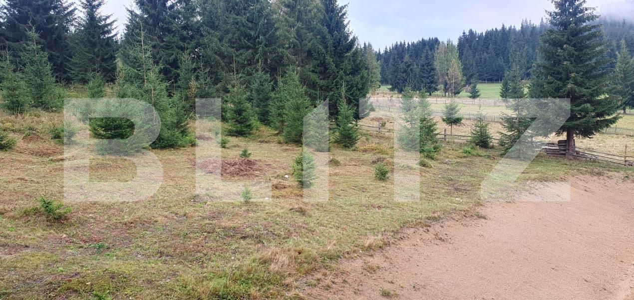 Spațiu comercial de vânzare Vatra Dornei - 207045SVC | BLITZ Suceava | Poza25