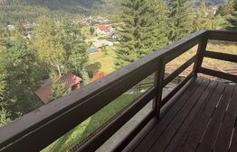 Casă din lemn, 110 mp, în Vatra Dornei