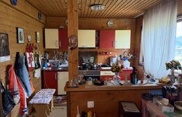Casă din lemn, 110 mp, în Vatra Dornei