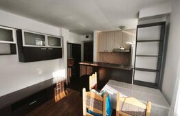 Apartament de inchiriat cu 2 camere, parter, zona Hurmuzachi, Radauti