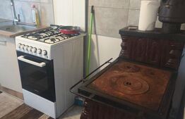 Casa de inchiriat + 5000mp teren, zona Horodnic de Jos, Radauti