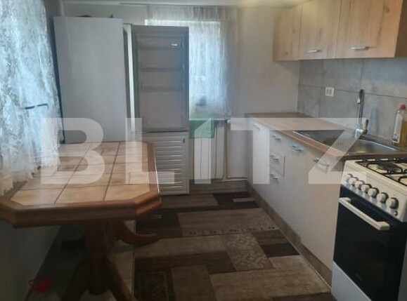 Casa de închiriat 2 camere Horodnic - 207218CI | BLITZ Suceava | Poza14