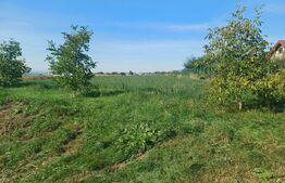 Teren de vanzare, 15 ari, zona Plopeni