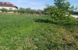 Teren de vanzare, 15 ari, zona Plopeni