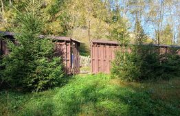 Cabane lemn, 96 mp, 1100 mp teren, zona Vadu Negrilesei