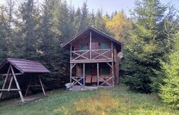 Cabane lemn, 96 mp, 1100 mp teren, zona Vadu Negrilesei