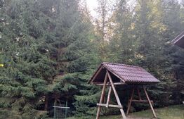 Cabane lemn, 96 mp, 1100 mp teren, zona Vadu Negrilesei