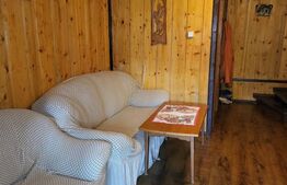 Cabane lemn, 96 mp, 1100 mp teren, zona Vadu Negrilesei