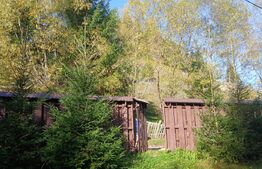 Cabane lemn, 96 mp, 1100 mp teren, zona Vadu Negrilesei