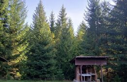 Cabane lemn, 96 mp, 1100 mp teren, zona Vadu Negrilesei