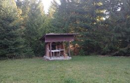 Cabane lemn, 96 mp, 1100 mp teren, zona Vadu Negrilesei
