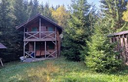 Cabane lemn, 96 mp, 1100 mp teren, zona Vadu Negrilesei