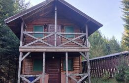 Cabane lemn, 96 mp, 1100 mp teren, zona Vadu Negrilesei