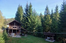 Cabane lemn, 96 mp, 1100 mp teren, zona Vadu Negrilesei