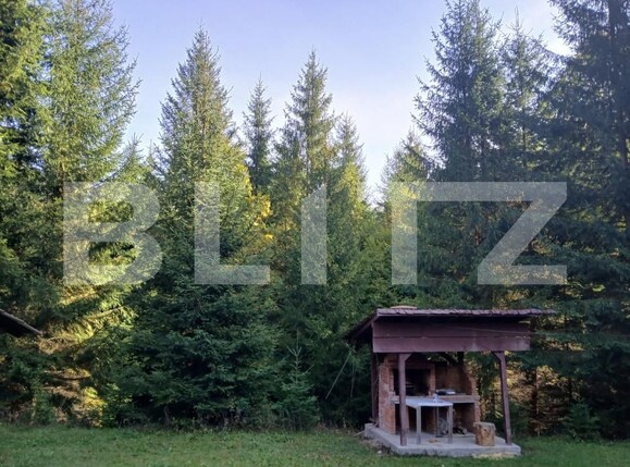 Casa de vânzare 6 camere Vadu Negrilesei - 207378CV | BLITZ Suceava | Poza7