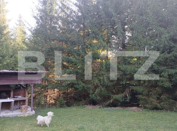 Casa de vânzare 6 camere Vadu Negrilesei - 207378CV | BLITZ Suceava | Poza16