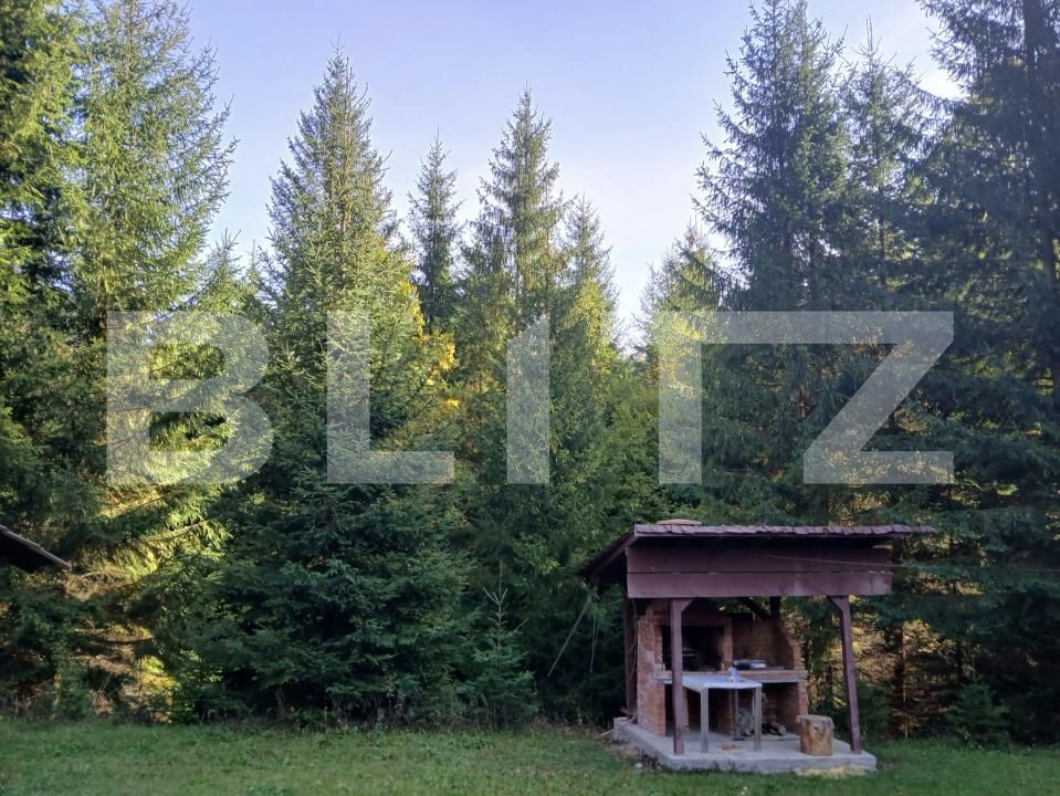 Casa de vânzare 6 camere Vadu Negrilesei - 207378CV | BLITZ Suceava | Poza7