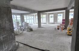 Spatiu comercial, 268.50 mp, zona Areni