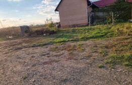 Casa tip duplex, 320 mp, Dornesti