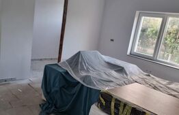 Casa tip duplex, 320 mp, Dornesti