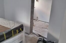 Casa tip duplex, 320 mp, Dornesti