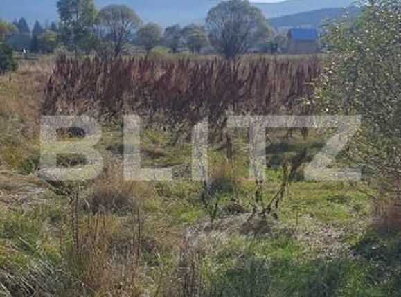 Teren de vânzare Vatra Dornei - 207561TV | BLITZ Suceava | Poza3