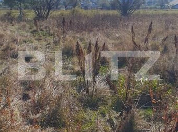 Teren de vânzare Vatra Dornei - 207561TV | BLITZ Suceava | Poza2