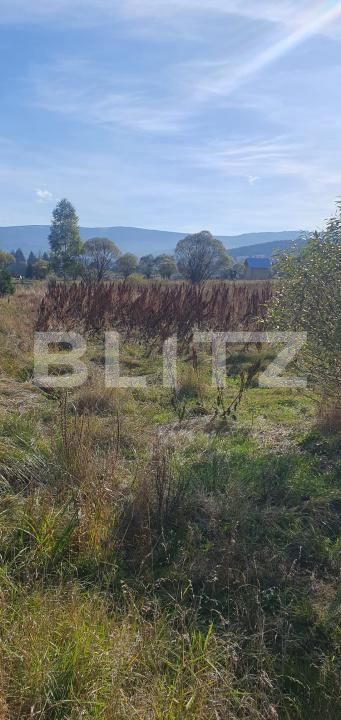 Teren de vânzare Vatra Dornei - 207561TV | BLITZ Suceava | Poza3