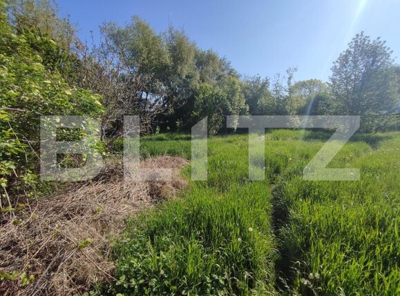 Casa de vânzare 4 camere Radauti - 207574CV | BLITZ Suceava | Poza9