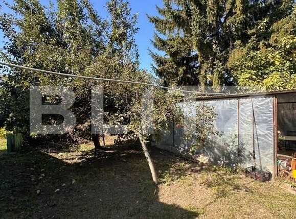 Casa de vânzare 3 camere Radauti - 207608CV | BLITZ Suceava | Poza7